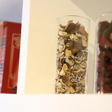 Casa Cesca Apartmán