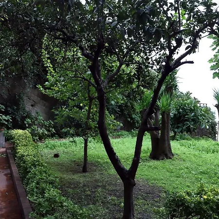 Casa Cesca Naples